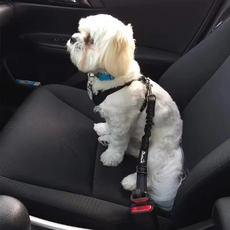 DogSafe Pro